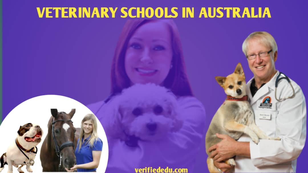 Veterinary Schools in Australia